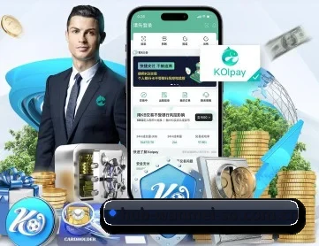 完美体育 APP 深度功能（WANMEI）